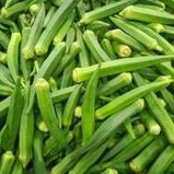Okra (Lady Finger)